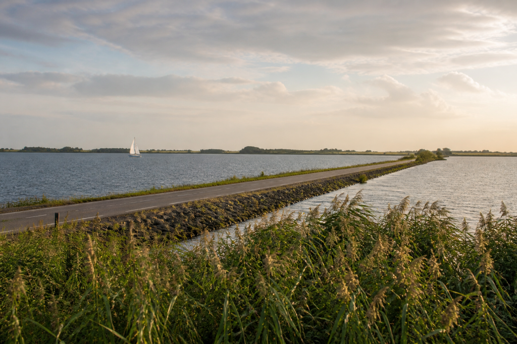 Straße auf einem niedrigen Damm über das Veluwemeer mit Schilf im Vordergrund und einem Segelboot in der Ferne