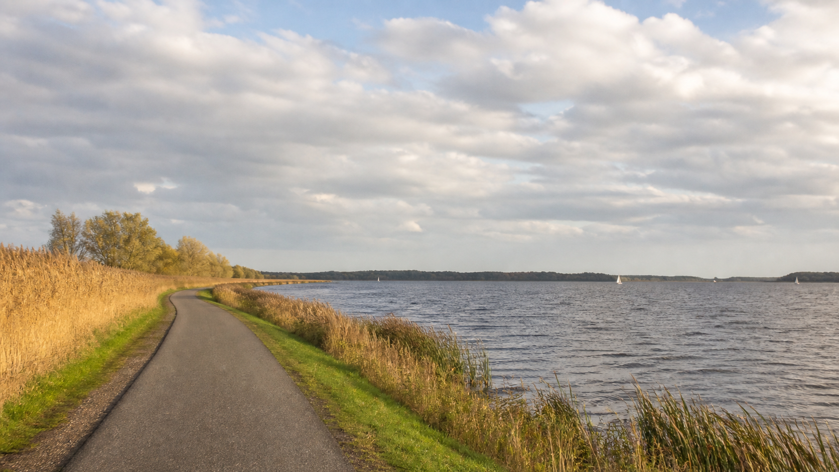 Radfahren am Veluwemeer: die schönsten Touren ab Zeewolde