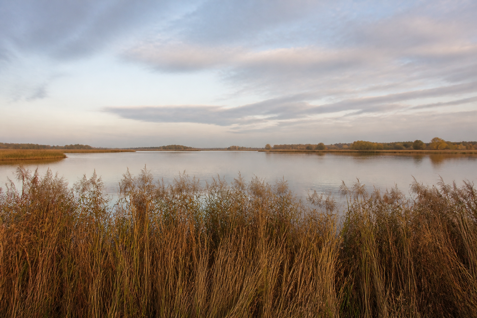 Herbstferien in Holland: Veluwemeer im Oktober