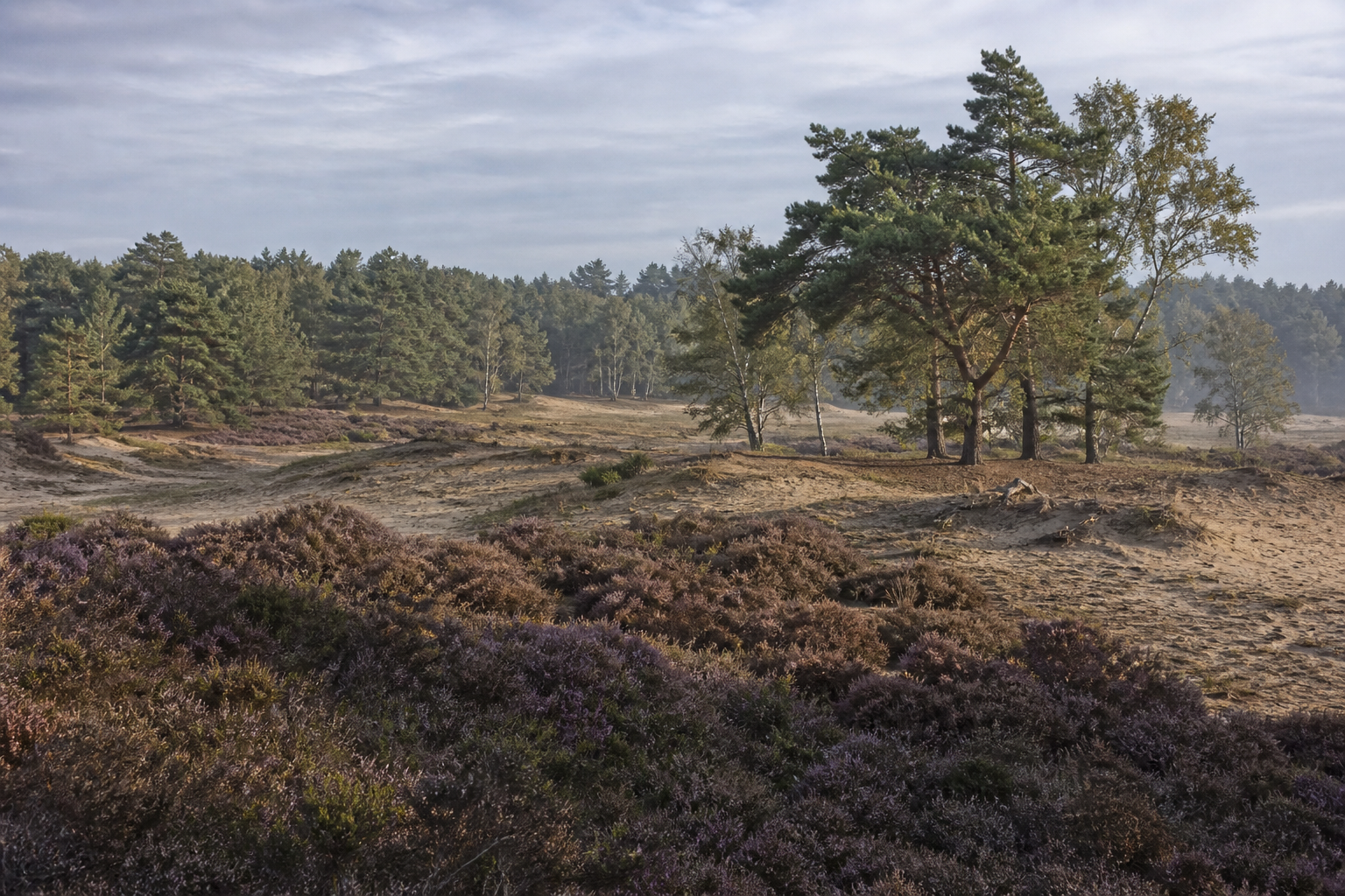 Nationalpark De Hoge Veluwe: Tagesausflug ab dem Veluwemeer