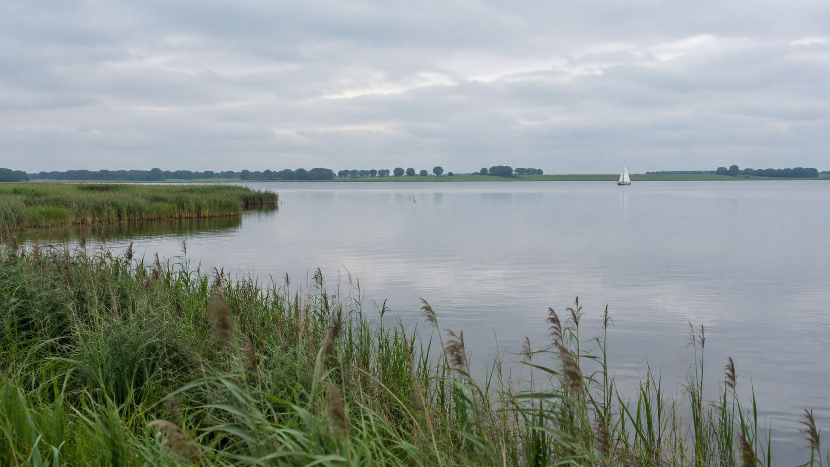 Veluwemeer oder Nordsee: Welches Wasser passt zu Ihrem Urlaub?